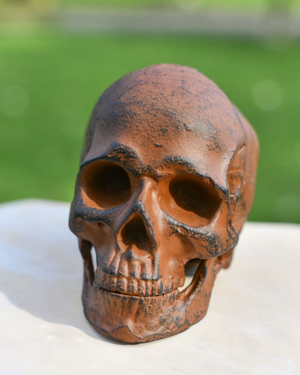 Front view of Rustic Skull