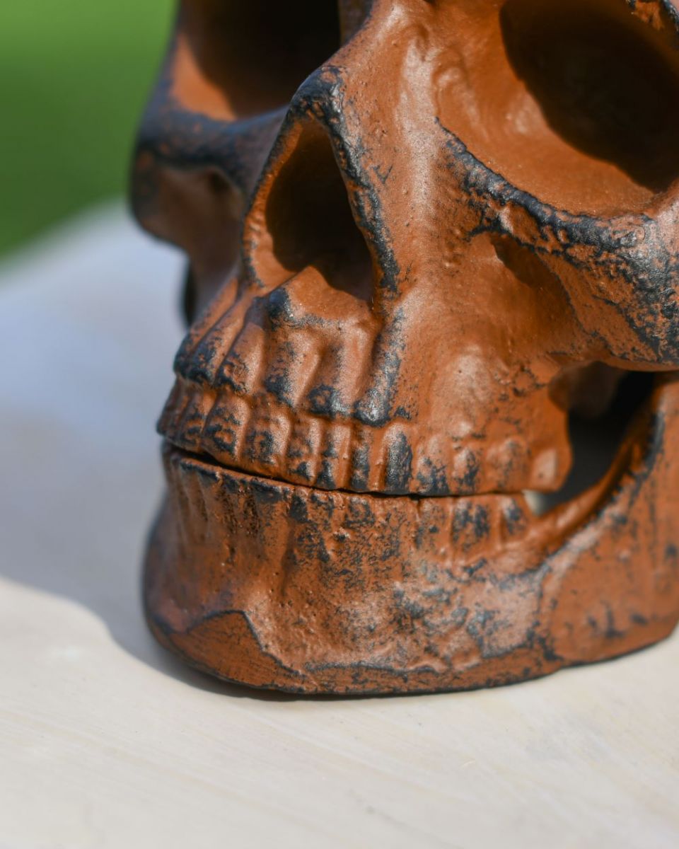 Close up of Rustic Skull Mouth