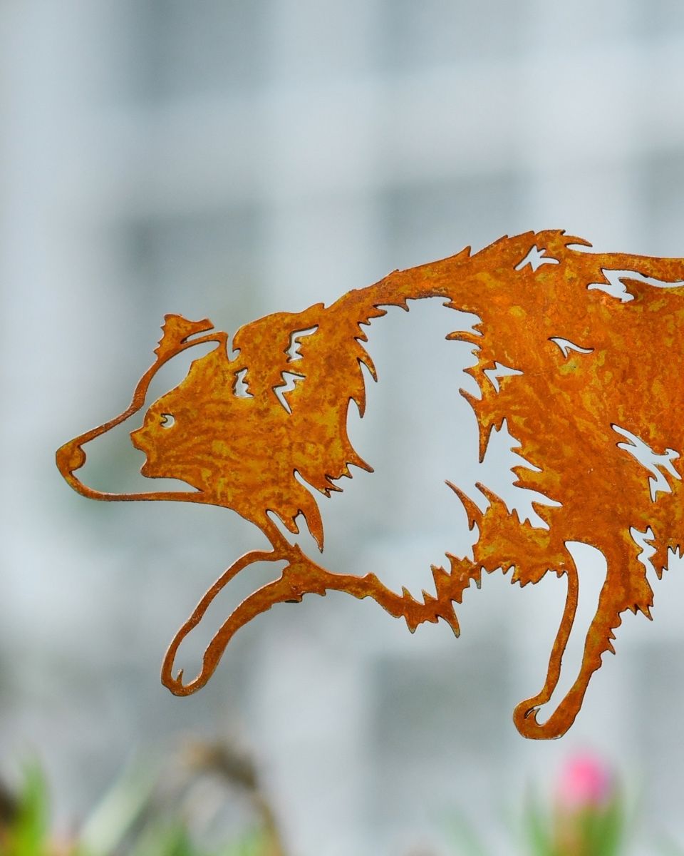 Rustic Border Collie Artistic Plant Pot Spike - Set of Two close up of head