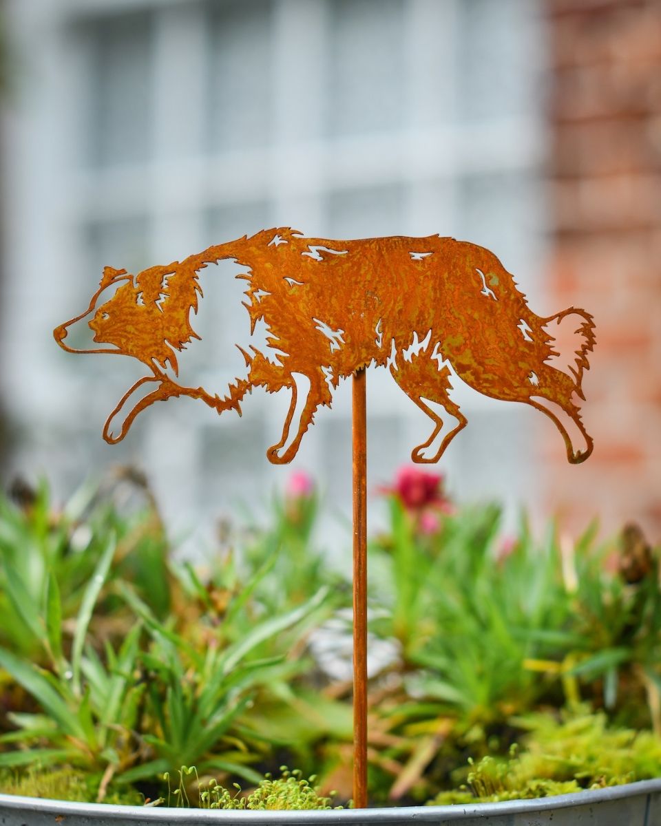 Rustic Border Collie Artistic Plant Pot Spike - Set of Two