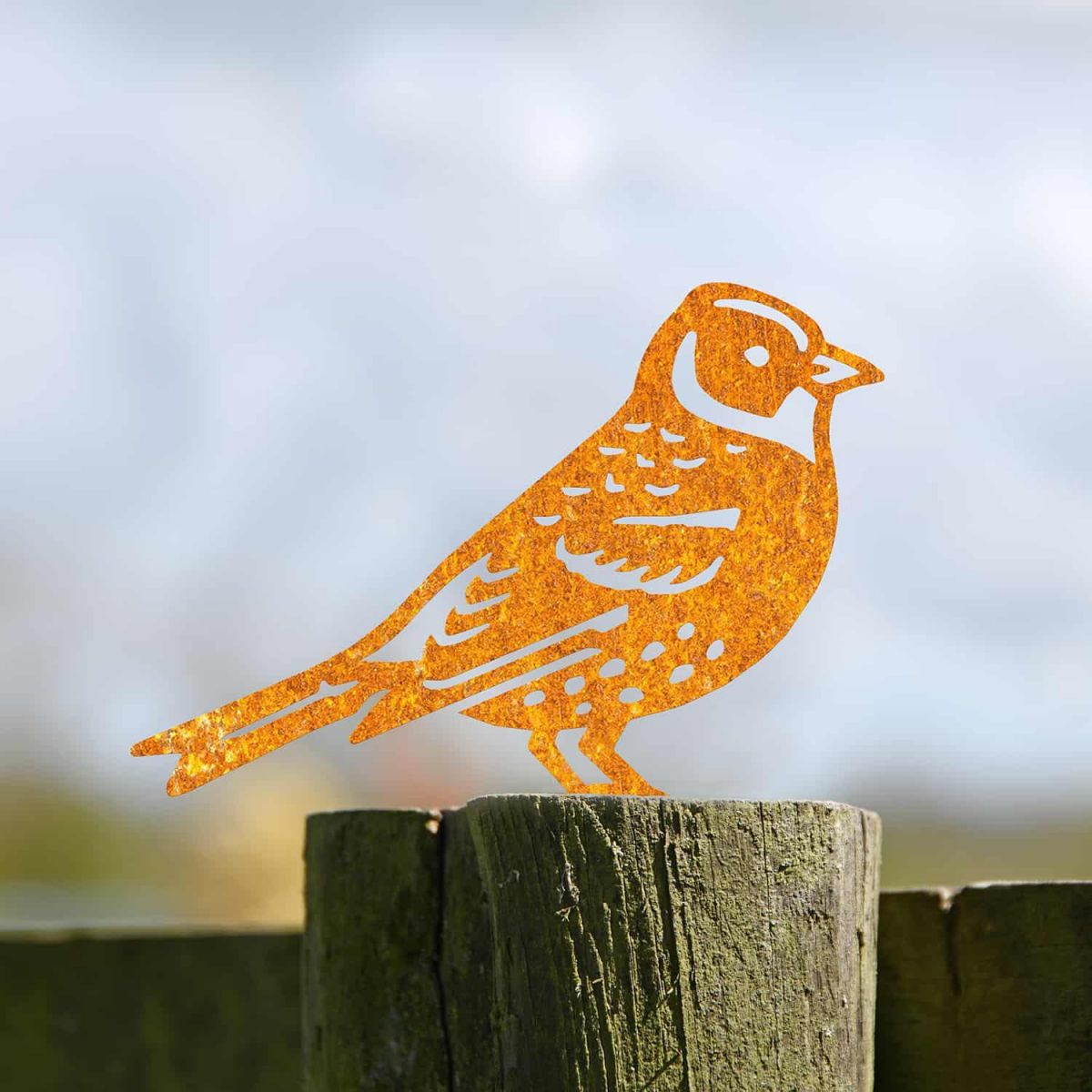 Rustic Steel Fence Topper with Brambling Design