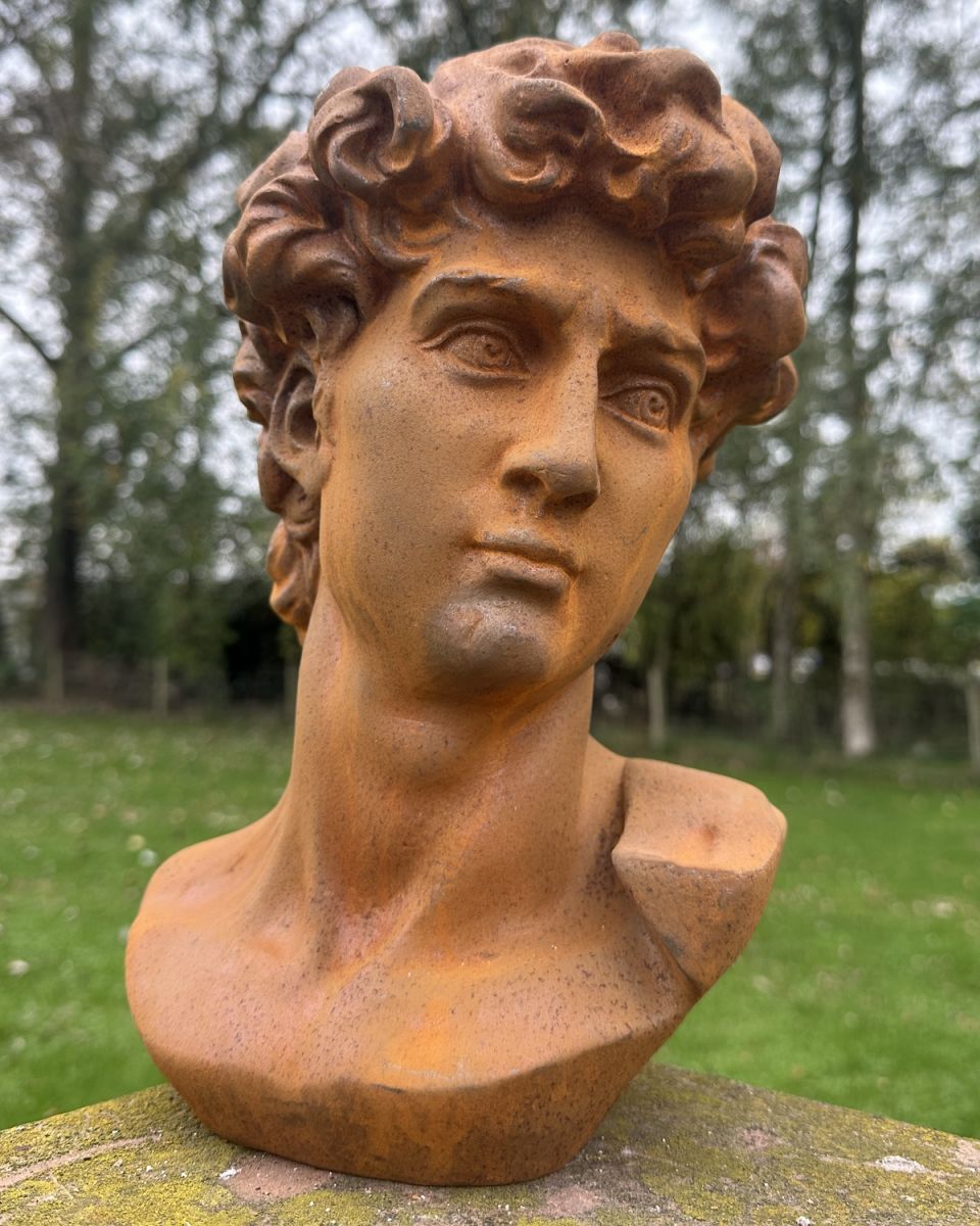 Rustic Cast Iron "Bust of David" Garden Sculpture