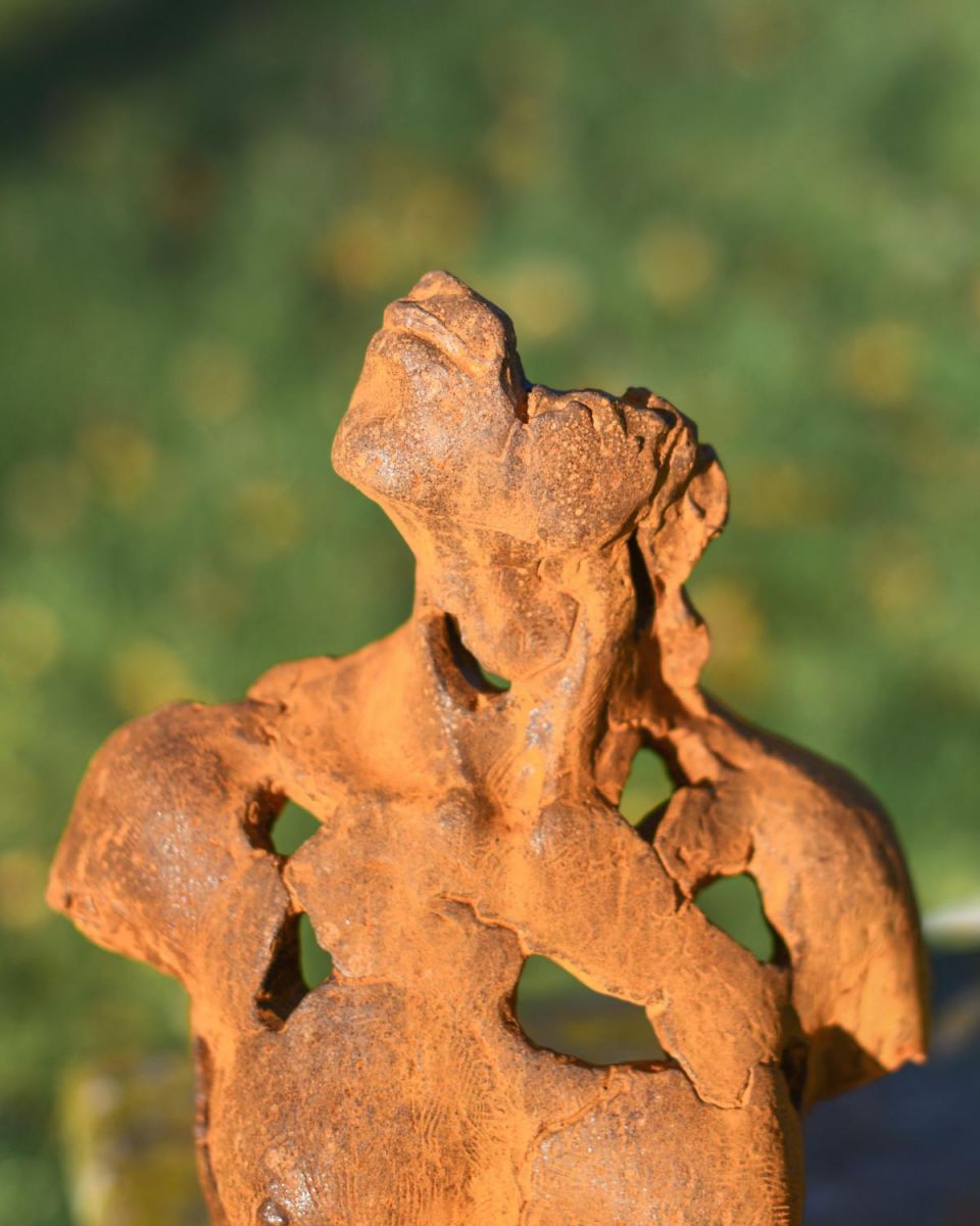 Situ Shot of "Contemporary Isolation" Garden Sculpture 