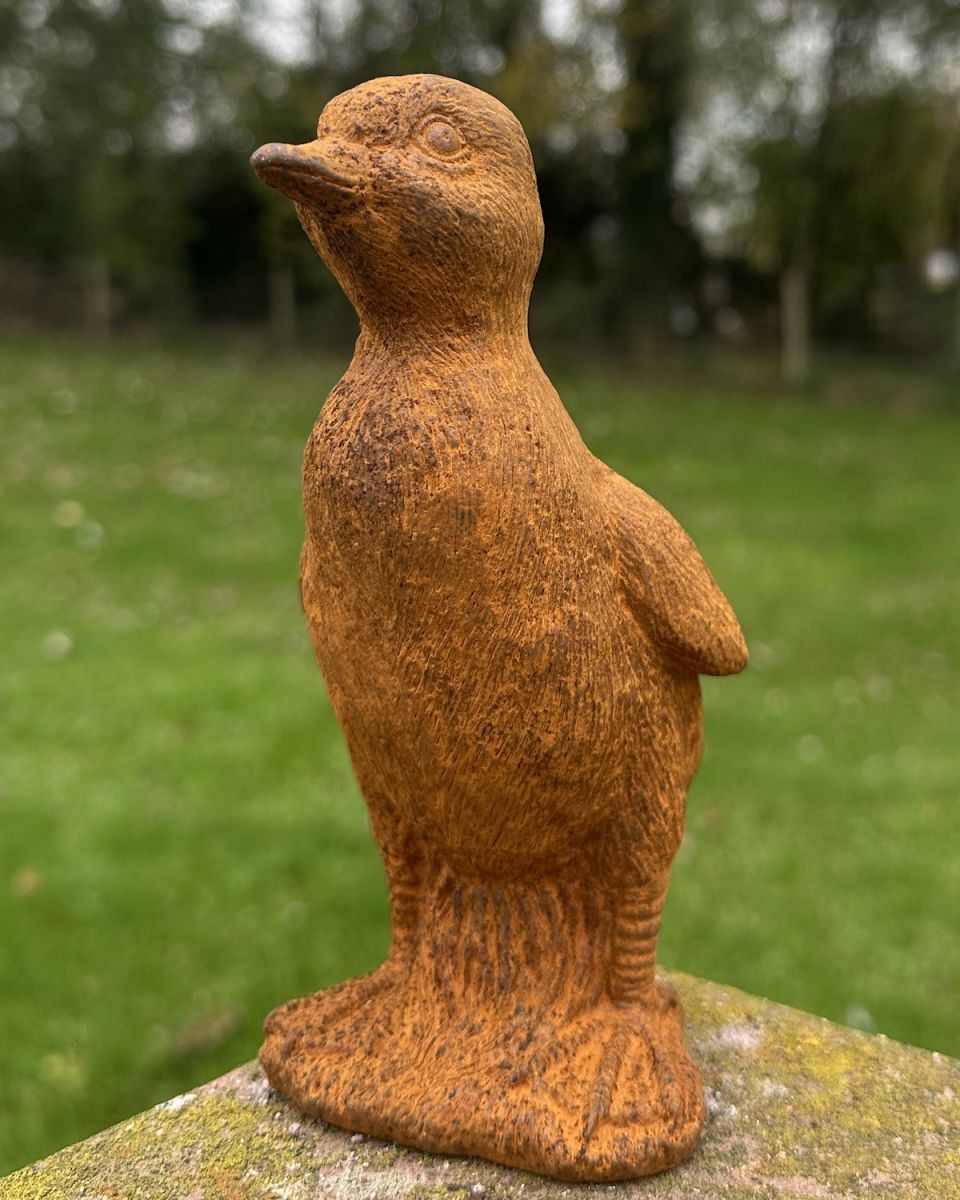 Rustic Cast Iron "Declan" the Duckling Sculpture
