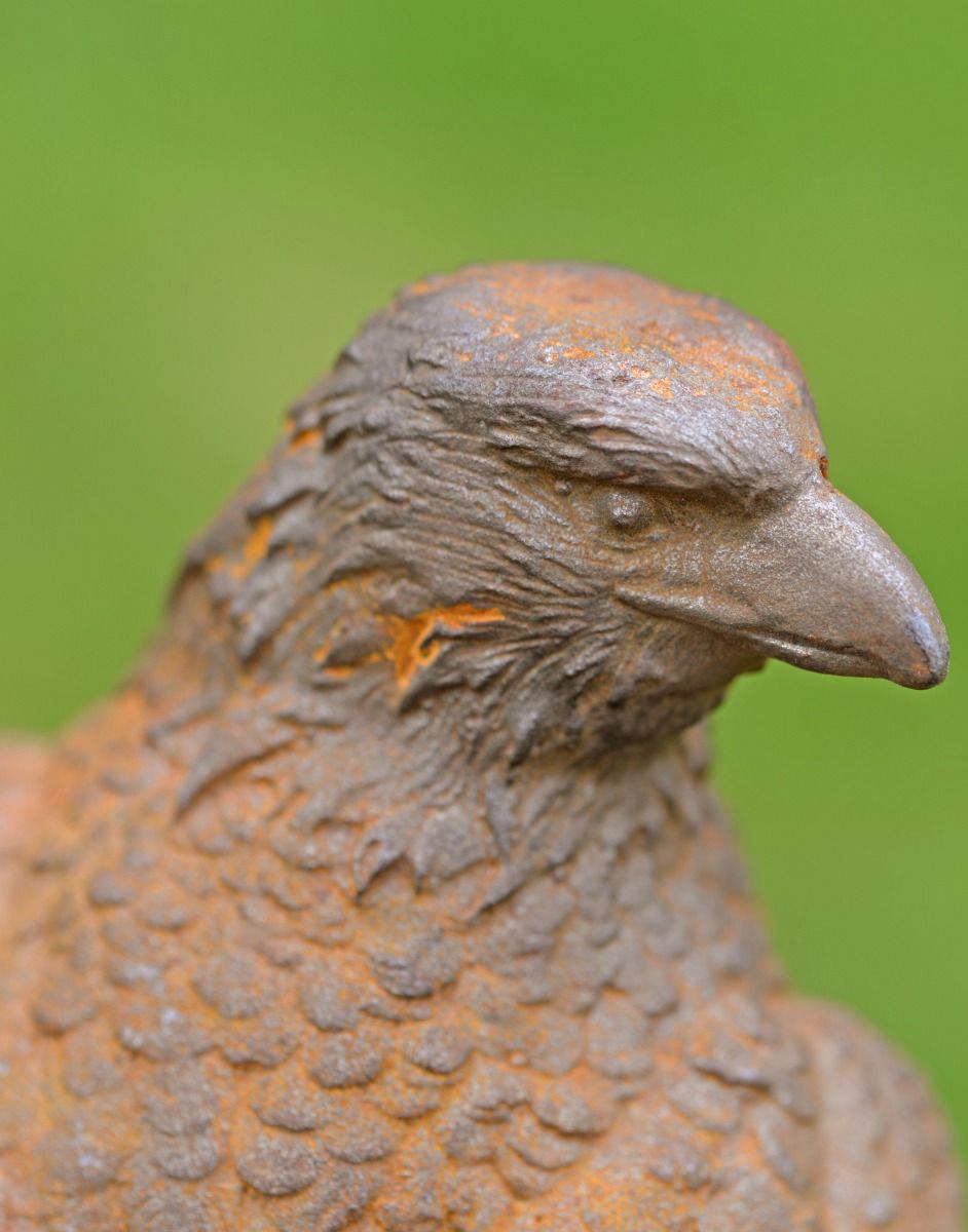 Rustic Cast Iron Eagle Close Up 