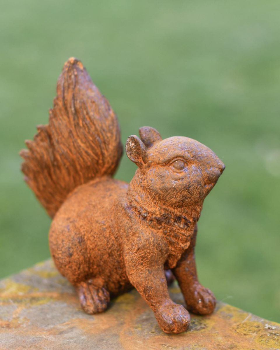 Situ Shot of Rustic Cast Iron Freestanding Squirrel Garden Sculpture 