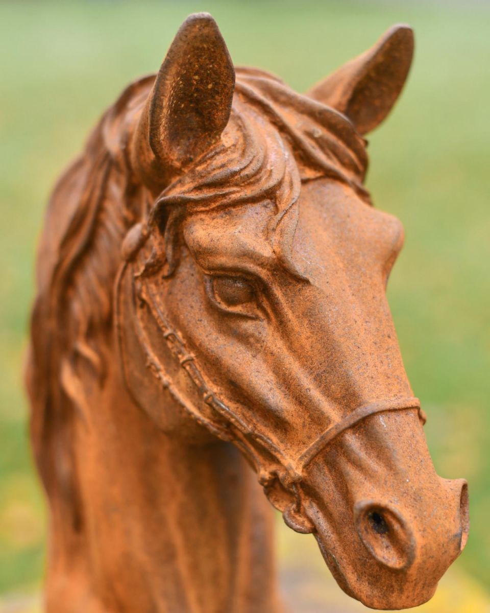 Close-Up of Rustic Cast Iron Horse Bust Garden Sculpture