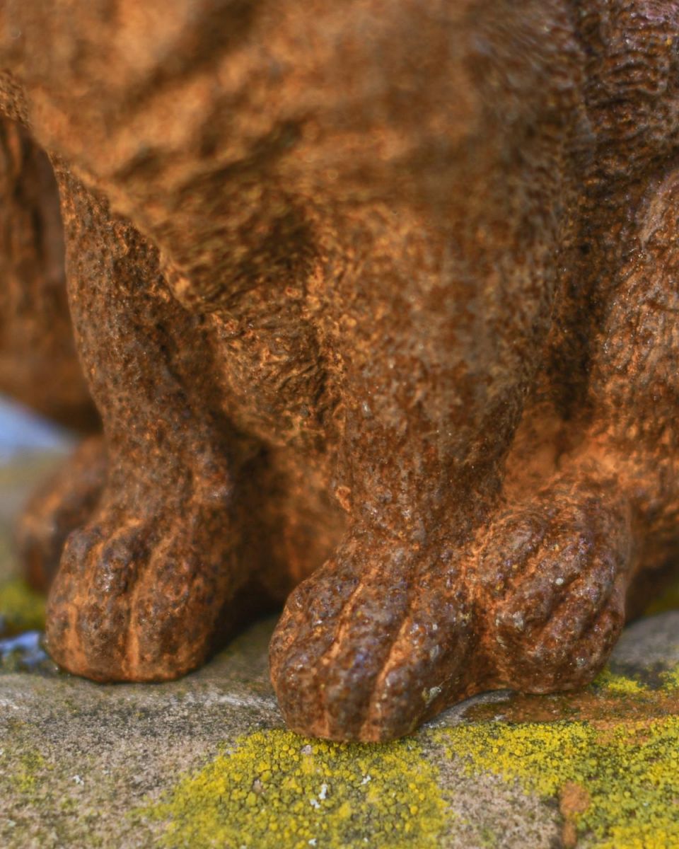 Close-Up of Rustic Cast iron Baby Fox Garden Sculpture