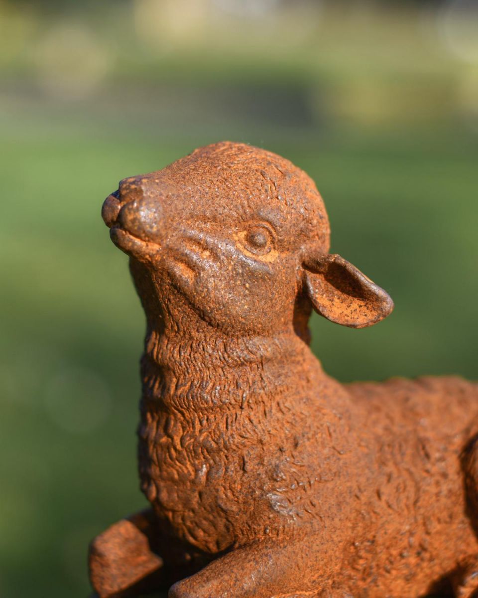 Close Up Of Rustic Cast Iron Lying Down Lamb Face