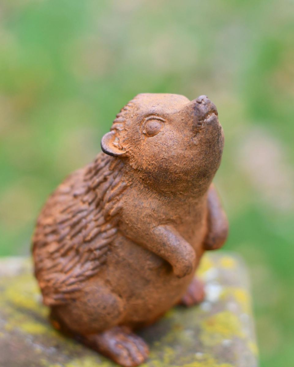 Rustic Cast Iron "Nosey Hedgehog" Garden Sculpture