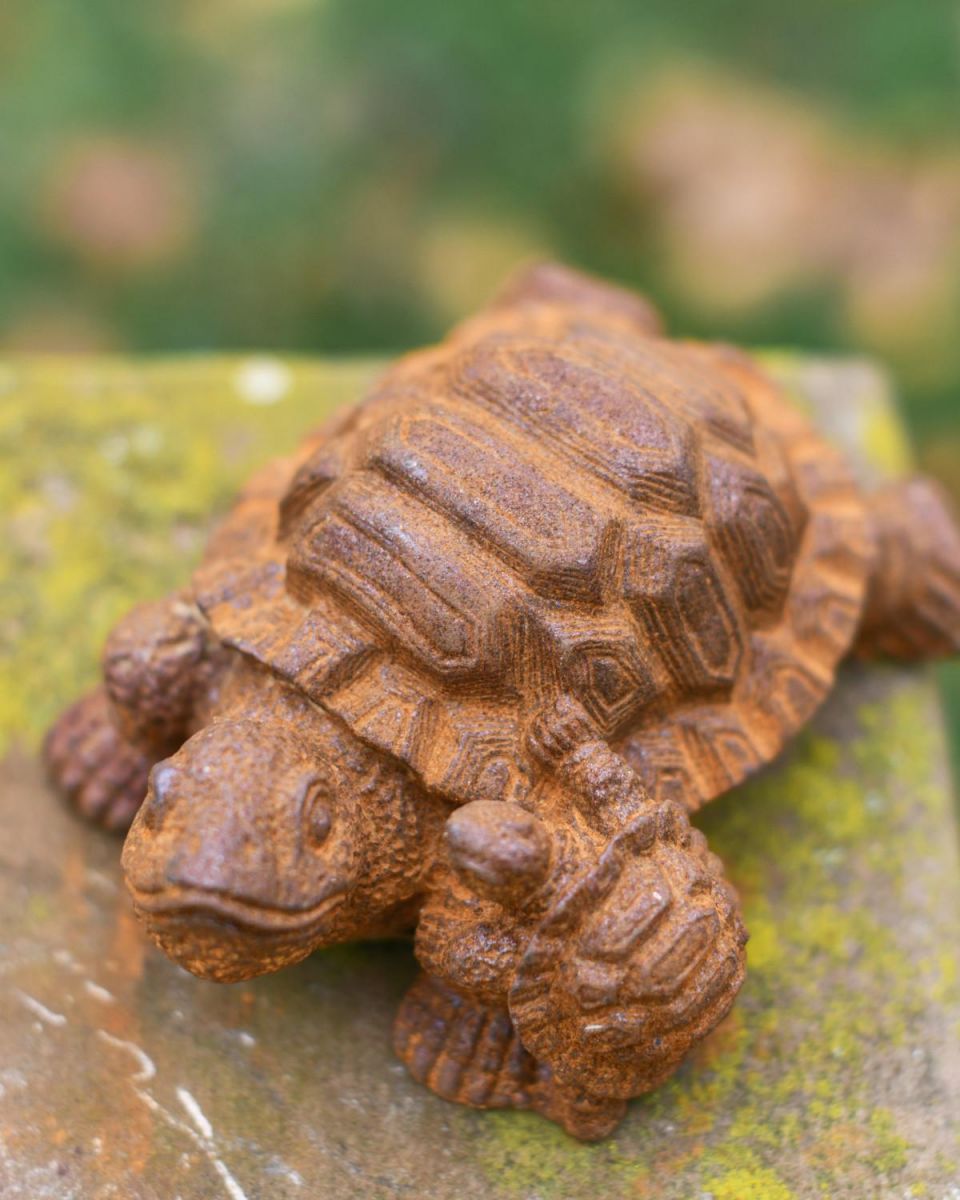 Rustic Cast Iron "Parent & Hatchling" Tortoise Garden Sculpture in Situ