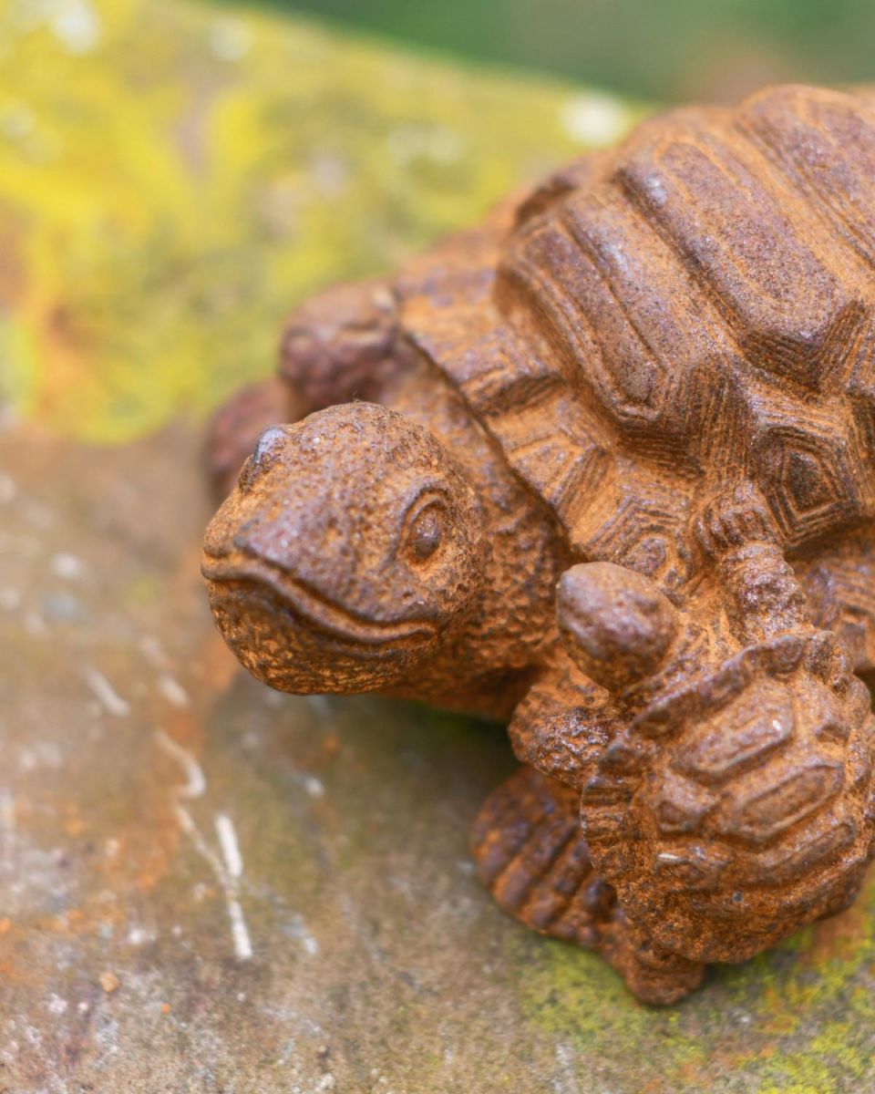 Close-Up of Rustic Cast Iron "Parent & Hatchling" Tortoise Garden Sculpture