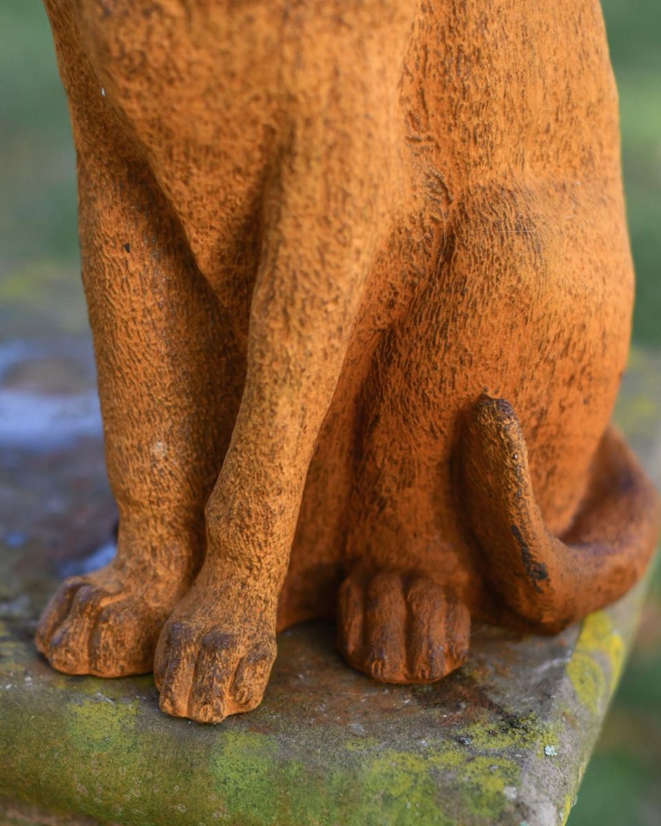 Close-Up of Base of Rustic Cast Iron "Sitting Tabby" Cat Garden Sculpture