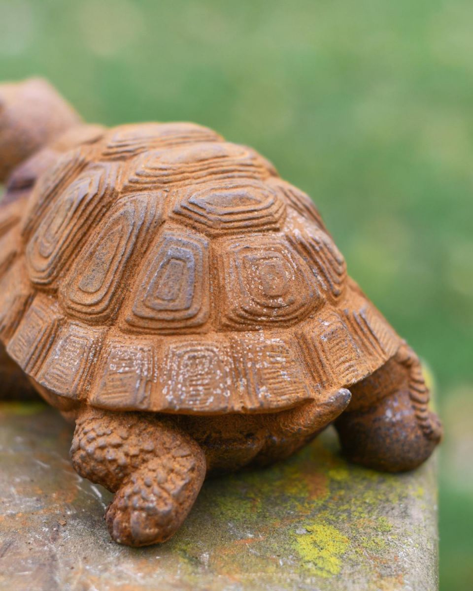 Close-Up of Cast Iron Structure