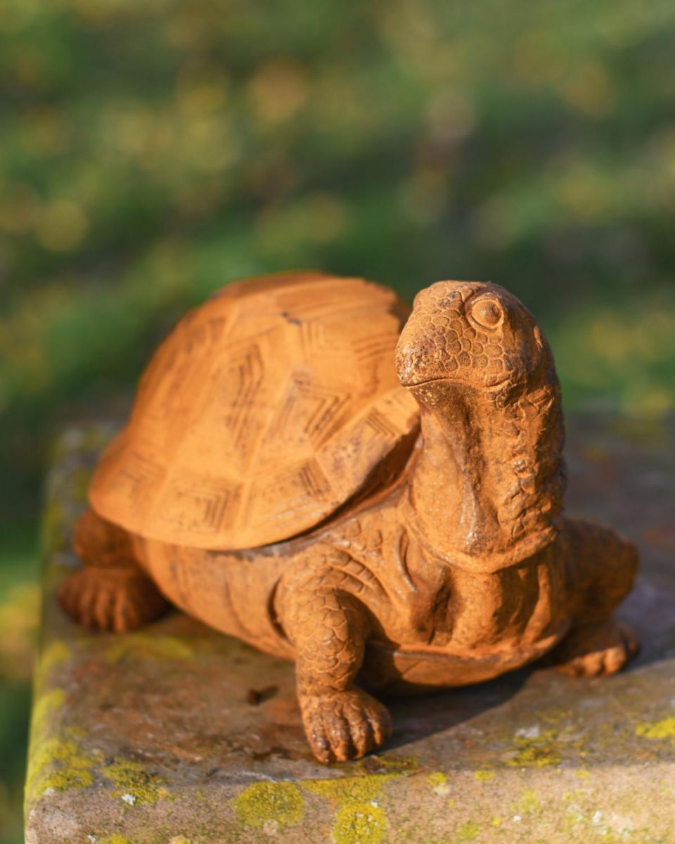 Rustic Cast Iron Tortoise Garden Sculpture - Facing Right in Situ