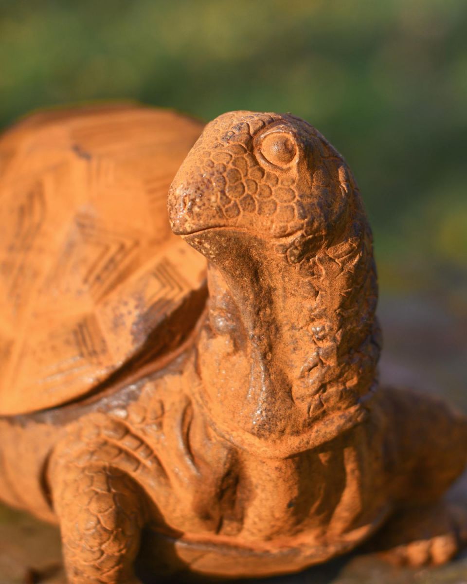 Close-Up of Rustic Cast Iron Tortoise Garden Sculpture - Facing Right