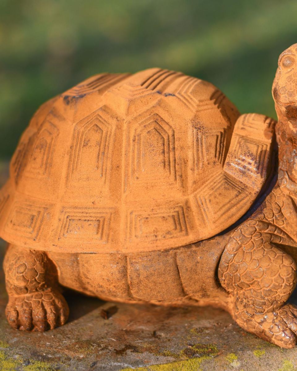Close-Up of Rustic Finish on Cast Iron Tortoise Sculpture