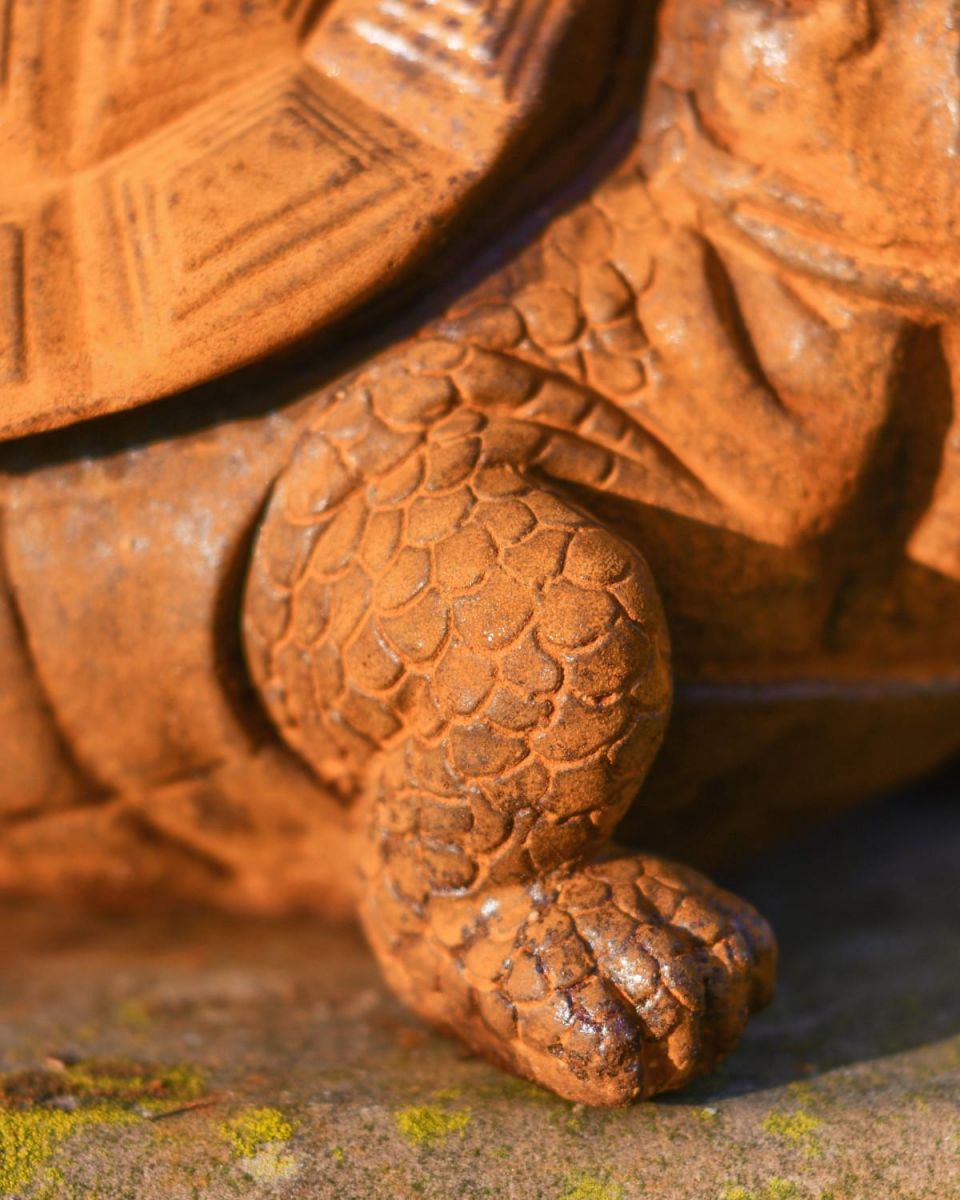 Close-Up of Detail on Cast Iron Tortoise Sculpture