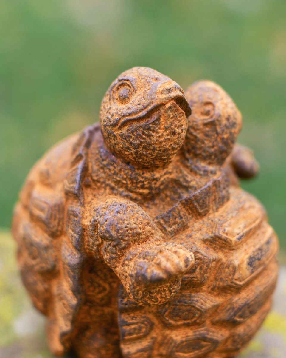 Close-Up of Rustic Cast Iron "Warm Embrace" Tortoise Garden Sculpture