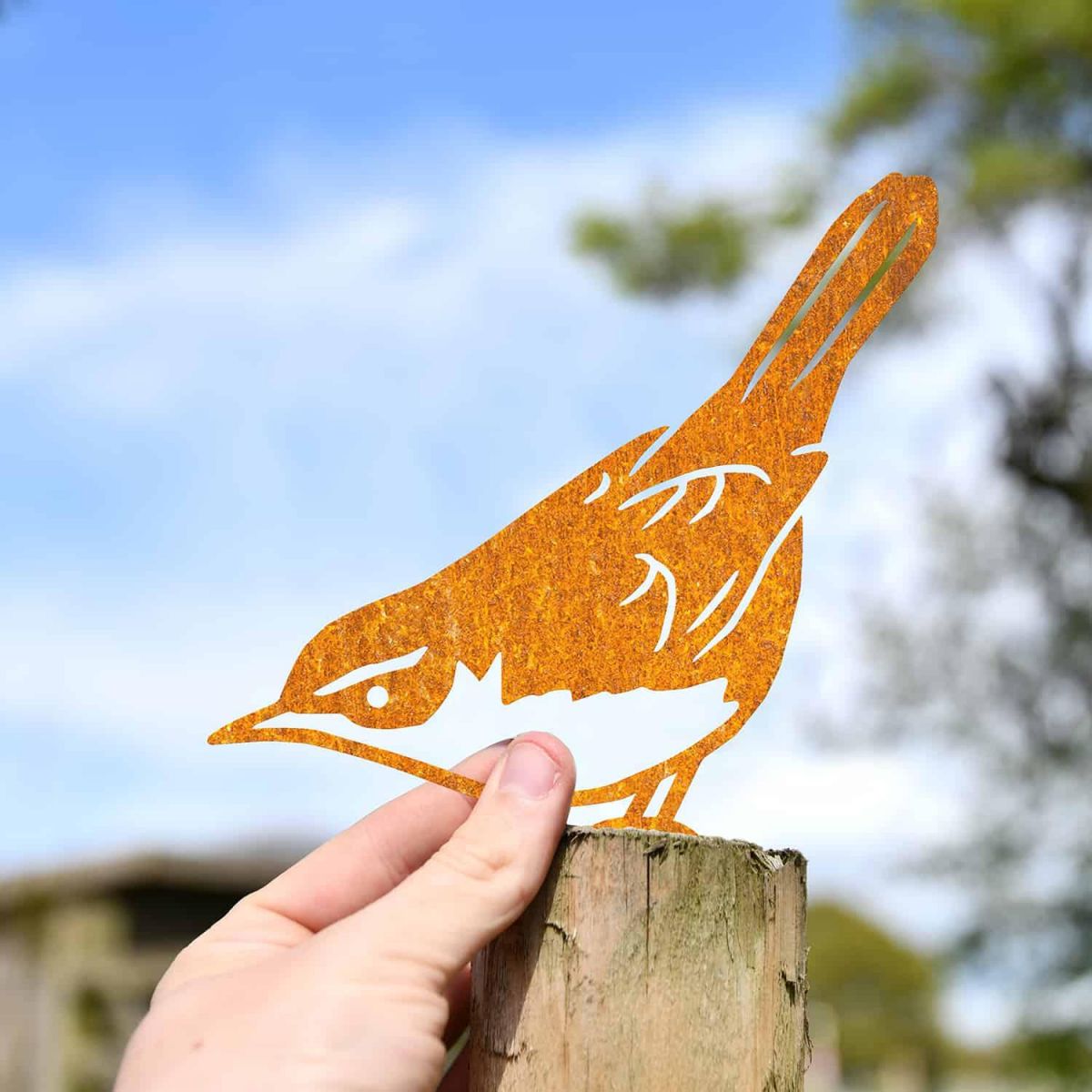 Scale Shot of Rustic Cetti"s Warbler Steel Fence Topper