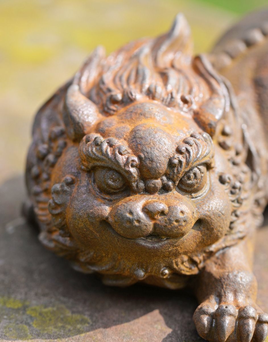 Rustic Close Up of Lion  Rustic Close Up of Lion