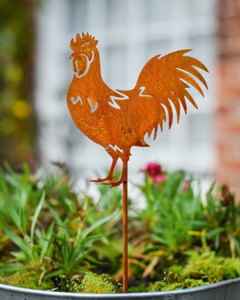 Rustic Cockerel Artistic Plant Pot Spike - Set of Two