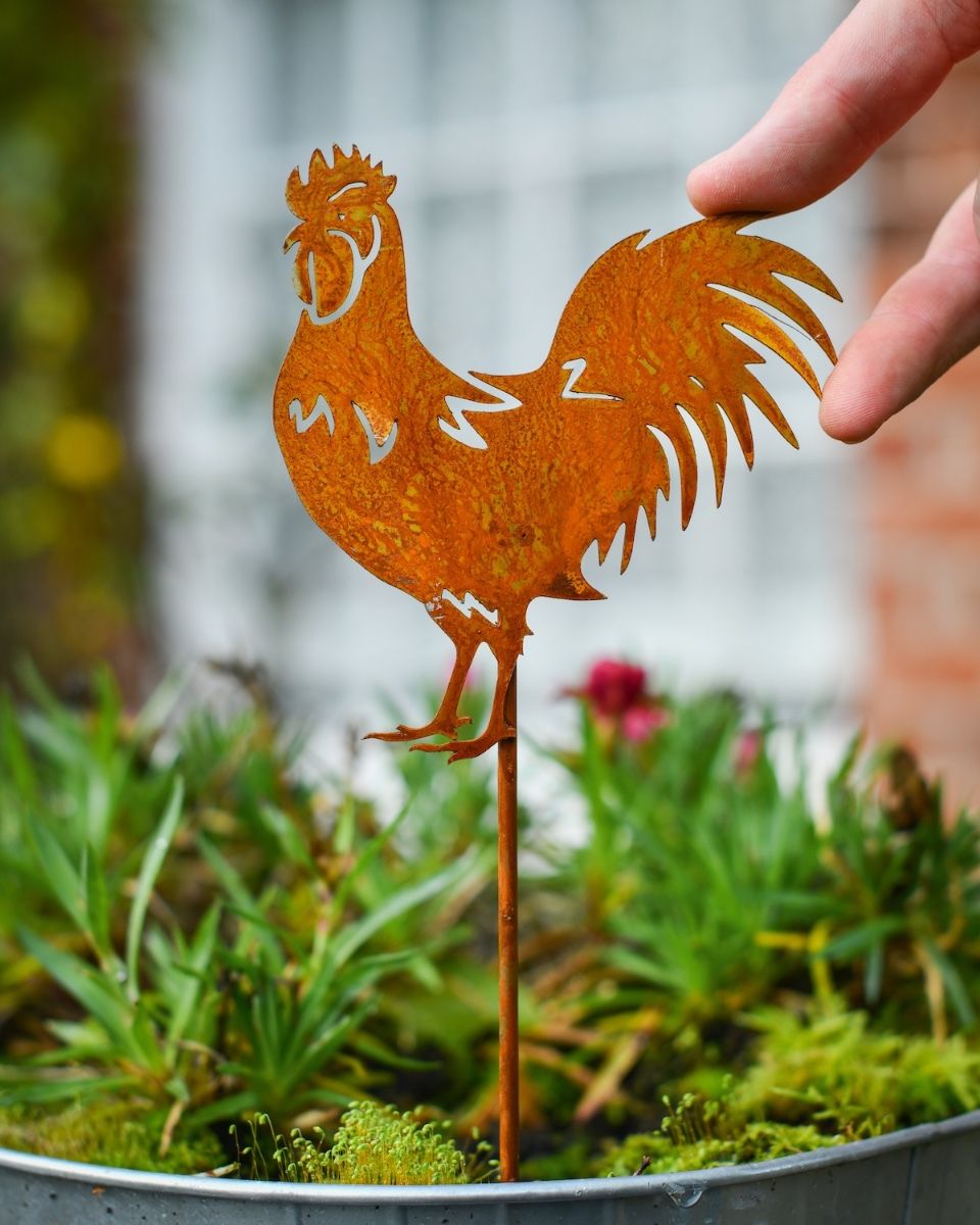 Rustic Cockerel Artistic Plant Pot Spike - Set of Two with hand in shot for scale