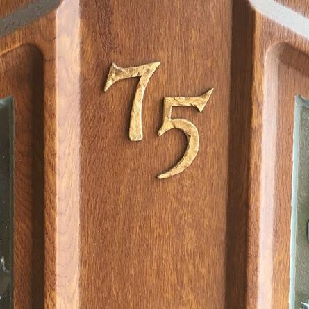 Rustic Copper house numbers on wood door