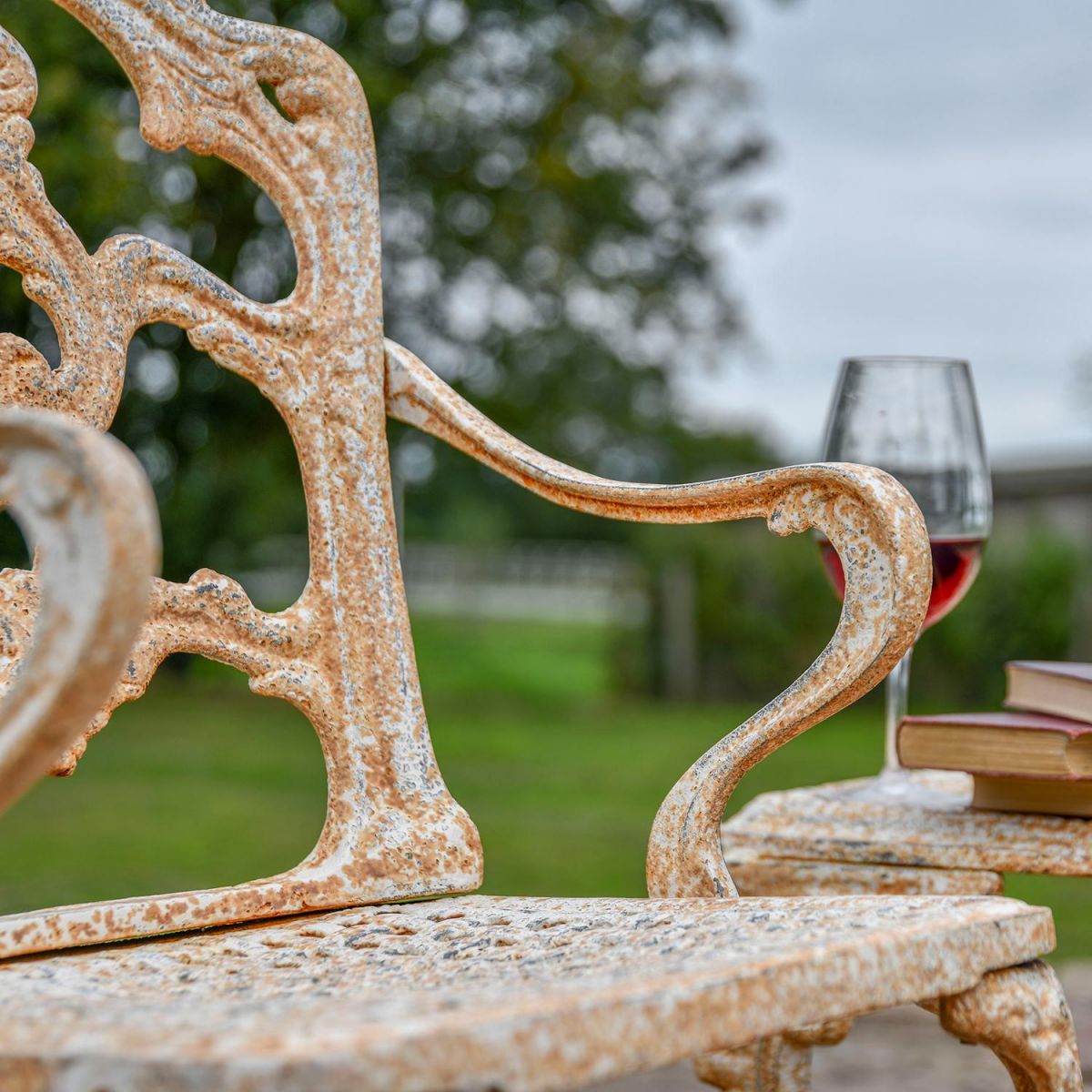 View of the Arms on the Chair