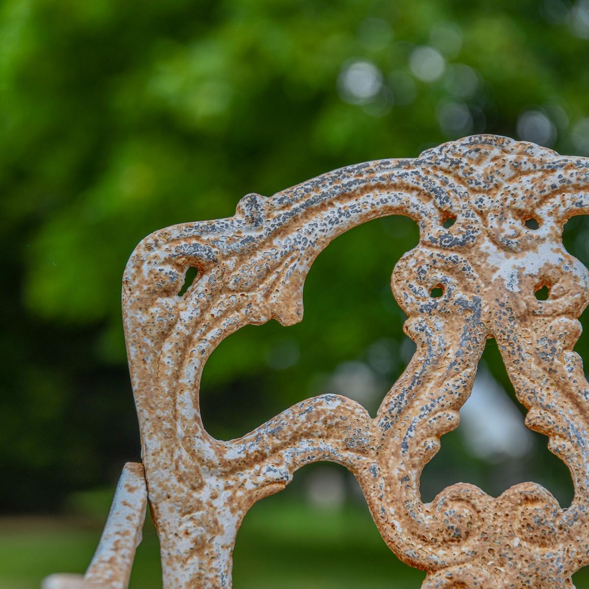 Close-up of the Design on the Back of the Chair