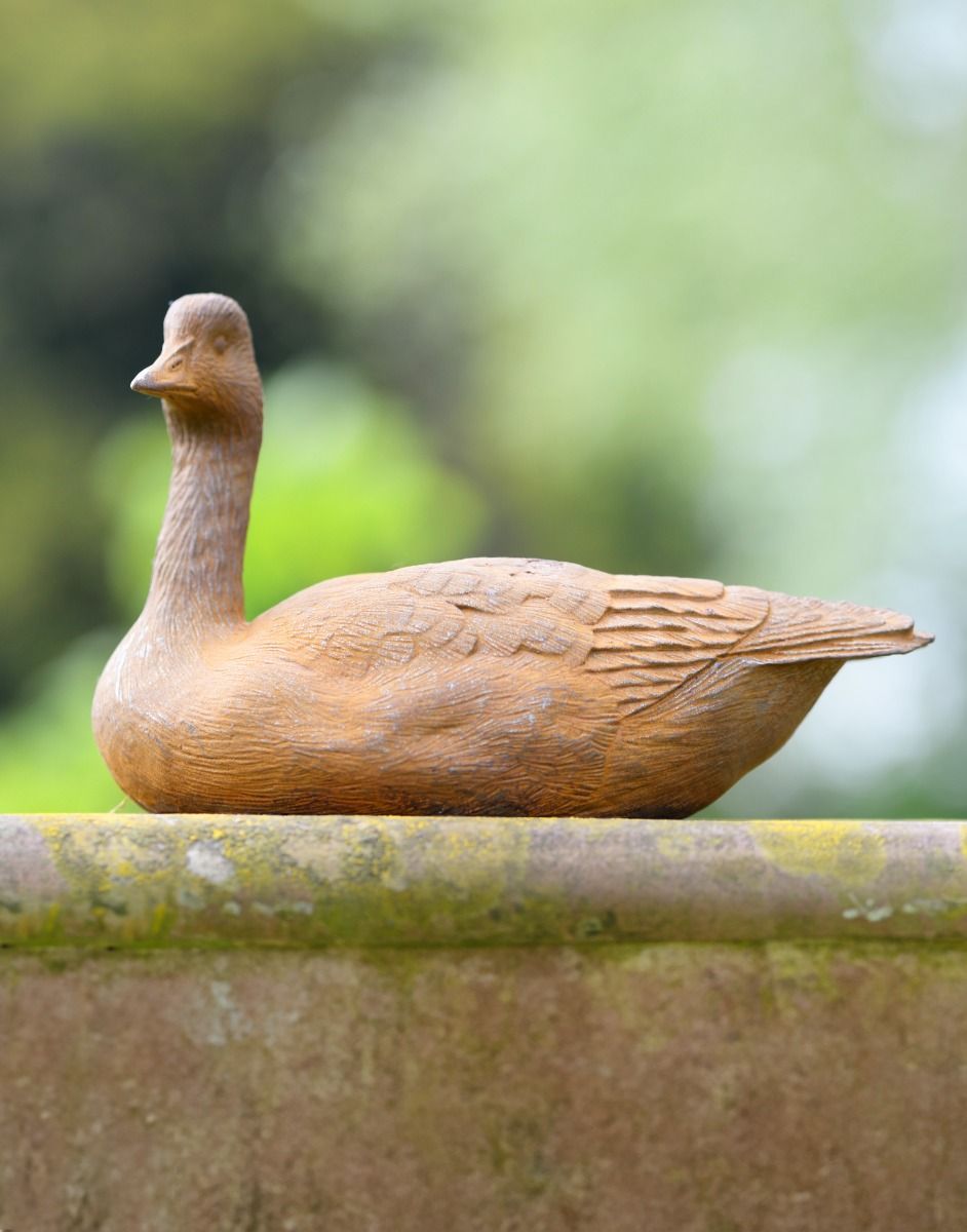 Cast Iron Duck in Situ 