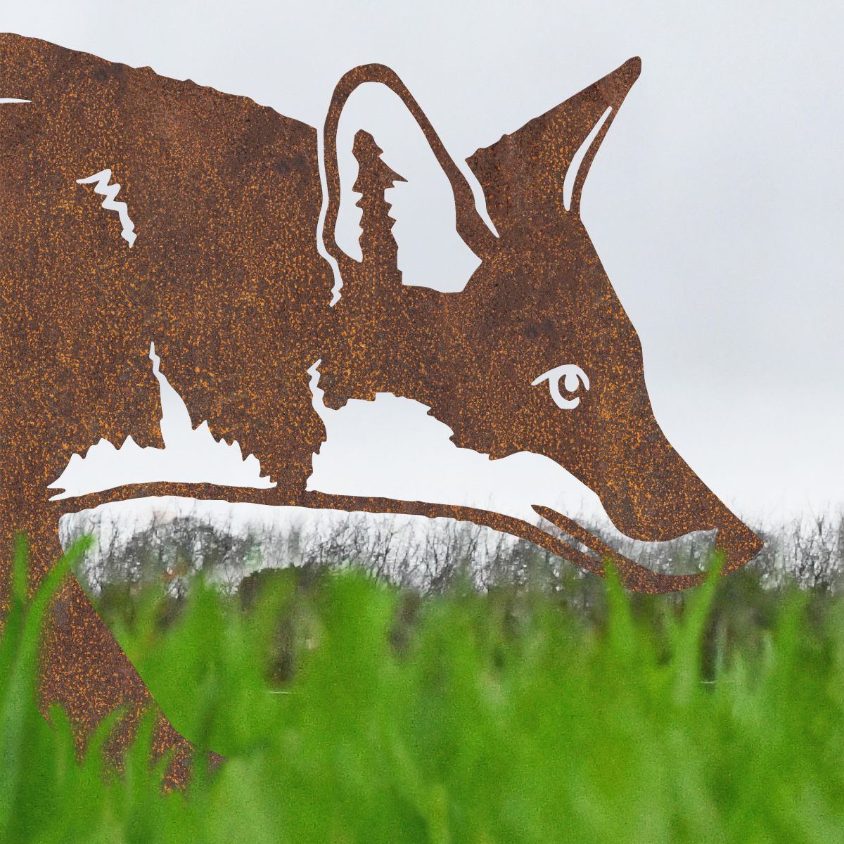 Close up of head on Fox Silhouette 