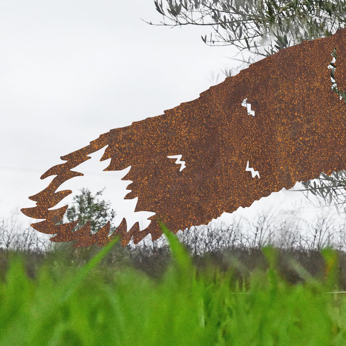 Close up of Fox Silhouette Tail 