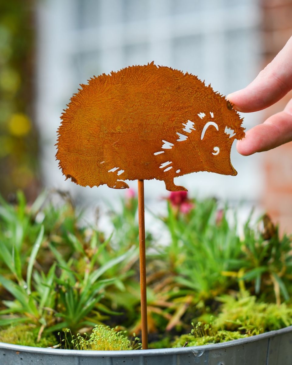 Rustic Hedgehog Artistic Plant Pot Spike - Set of Two with hand in shot