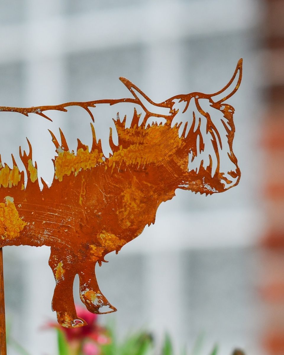 Rustic Highland Cow Artistic Plant Pot Spike - Set of Two close up of head