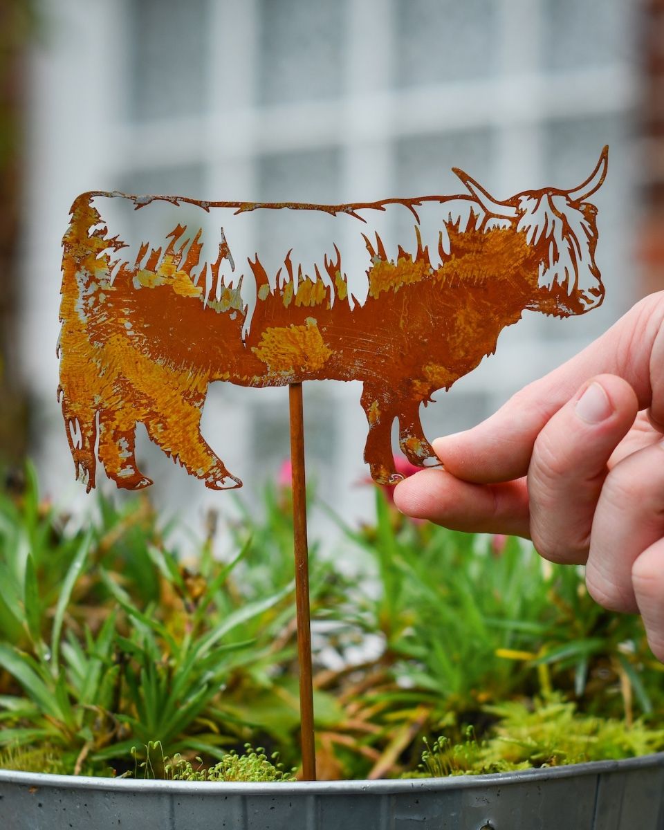 Rustic Highland Cow Artistic Plant Pot Spike - Set of Two with hand in shot for scale