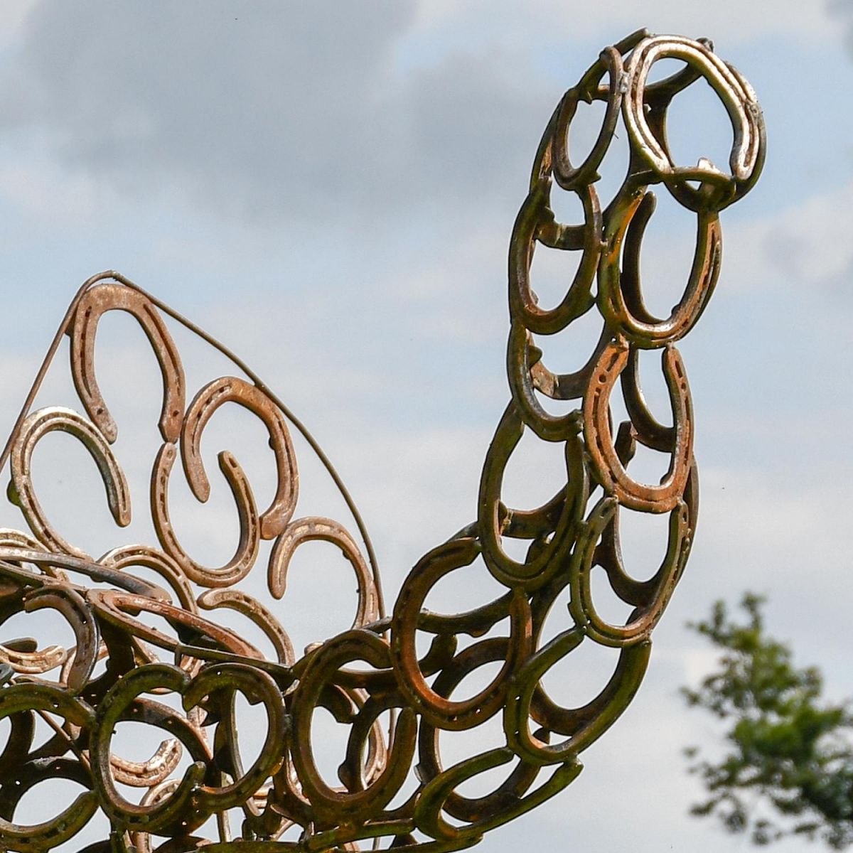 Close-up of the Trunk of the Elephant Close-up of the Trunk of the Elephant