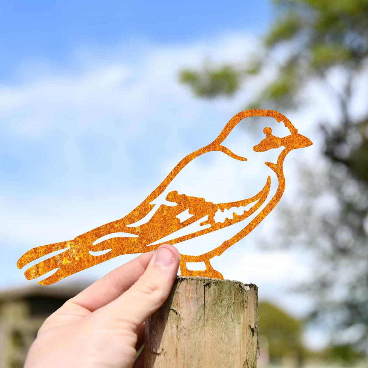 Scale Shot of Rustic Jay Bird Steel Fence Topper