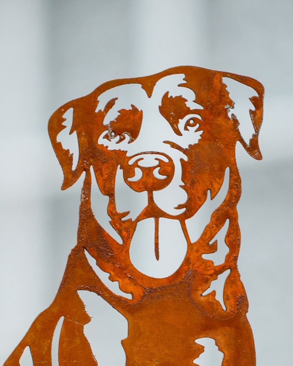 Rustic Labrador Artistic Plant Pot Spike - Set of Two close up of head