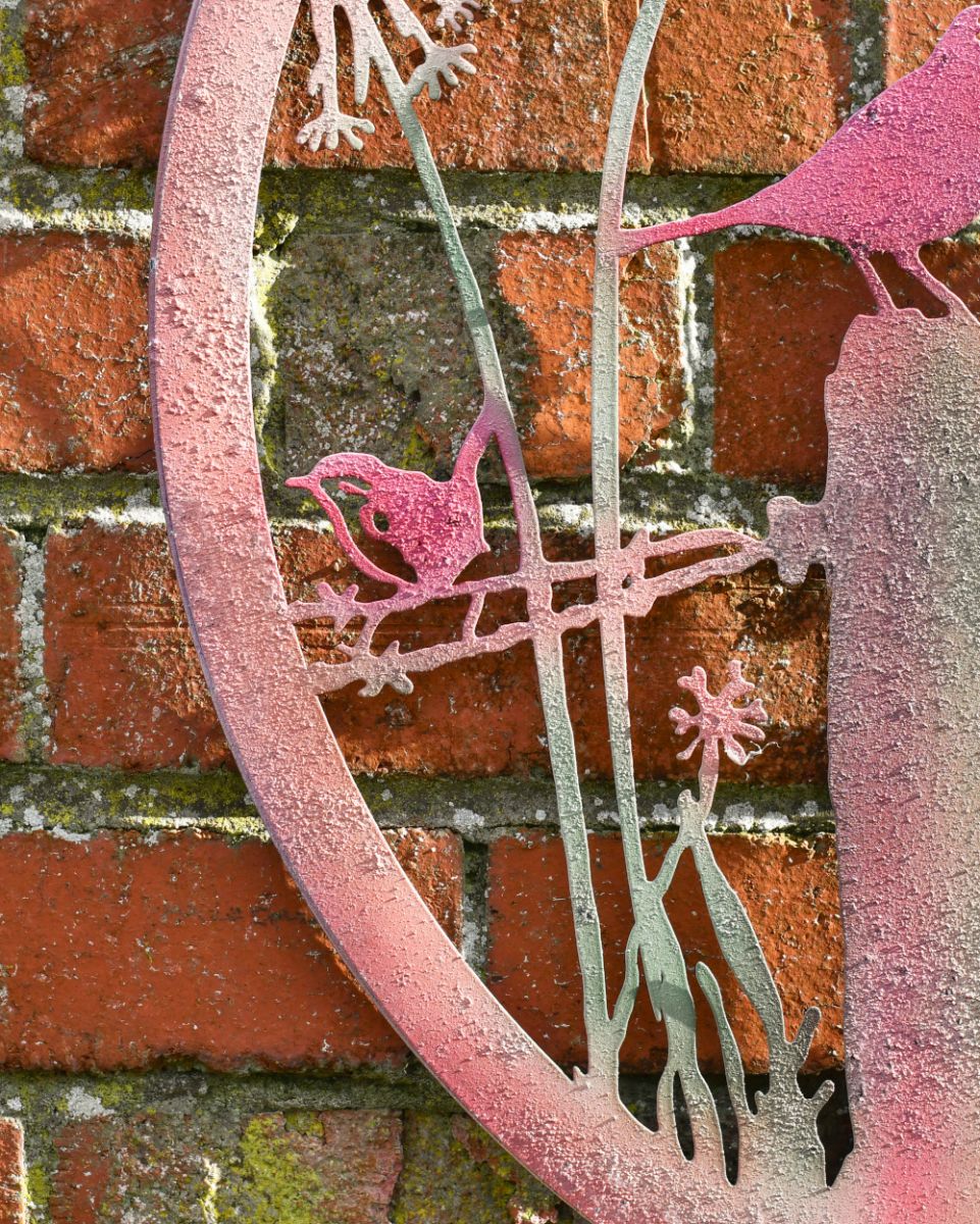 Smaller bird perched on barbed wire Smaller bird perched on barbed wire