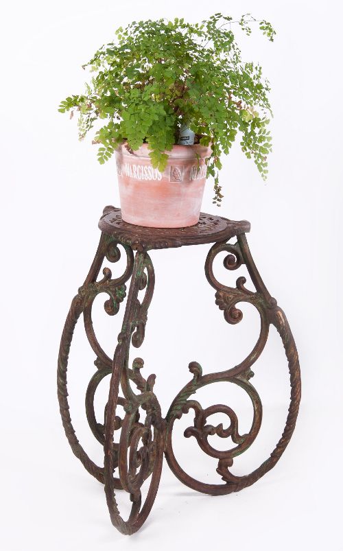 “Amblecote Hill” ornate wrought Iron plant stand