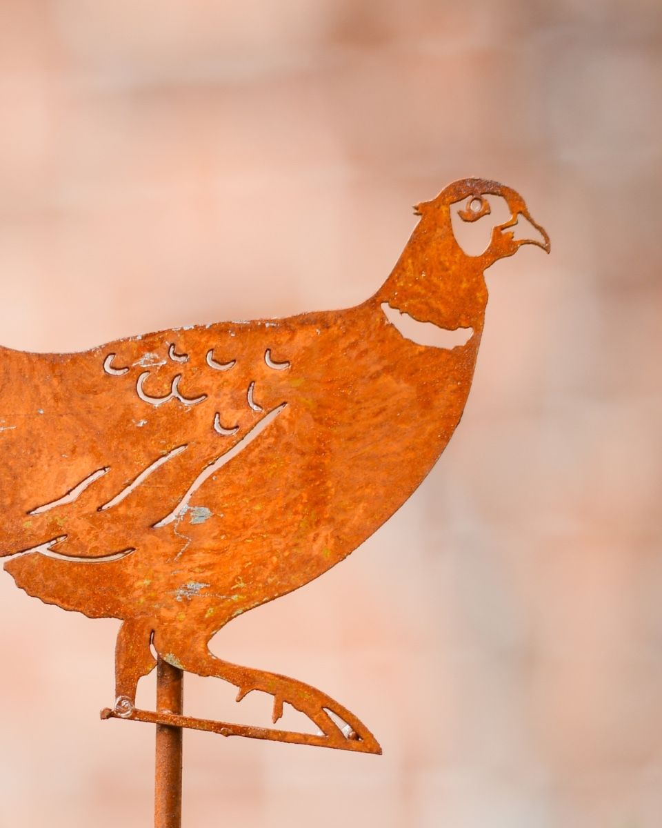 Rustic Pheasant Artistic Plant Pot Spike - Set of Two close up of pheasant head