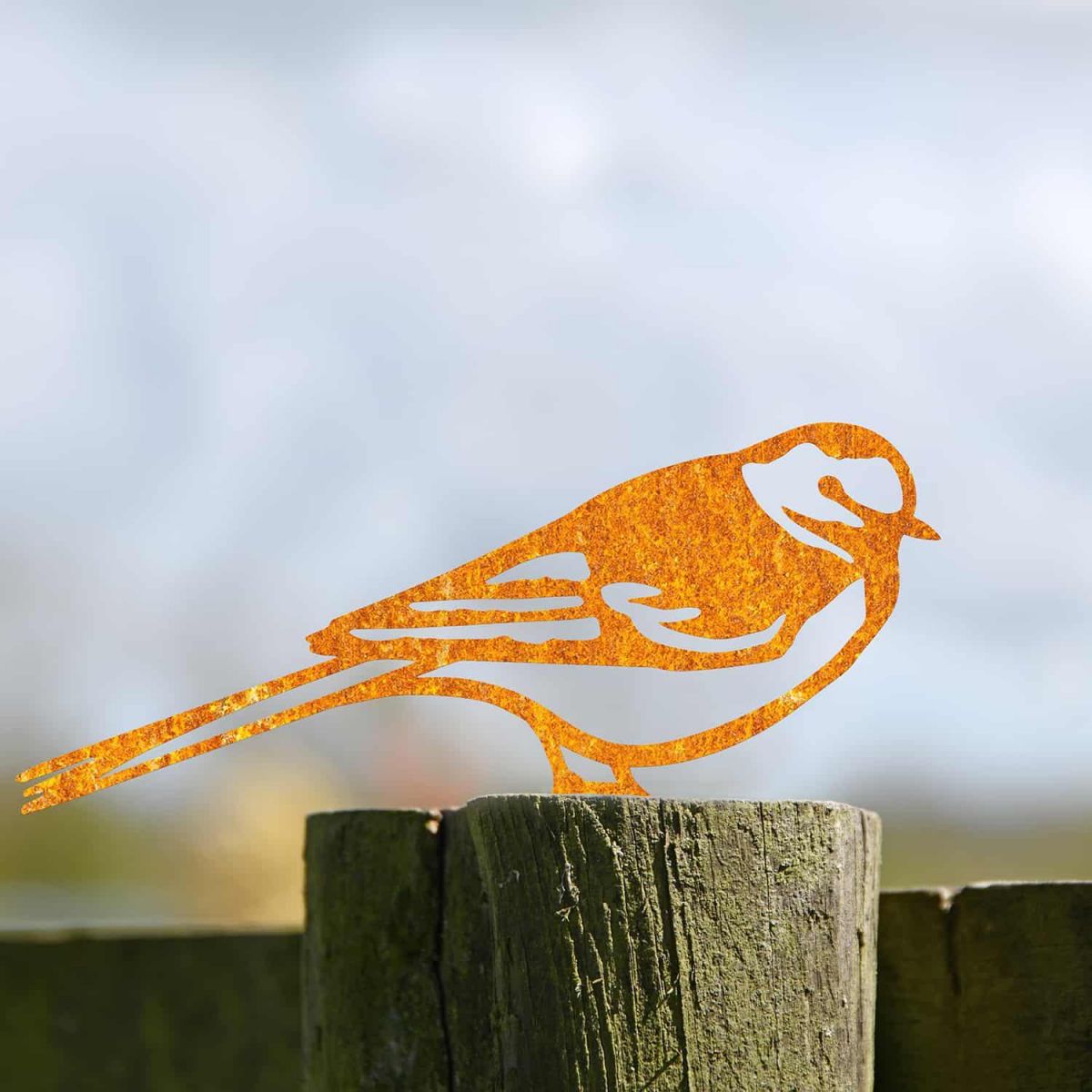 Rustic Pied Wagtail Steel Fence Topper in Situ