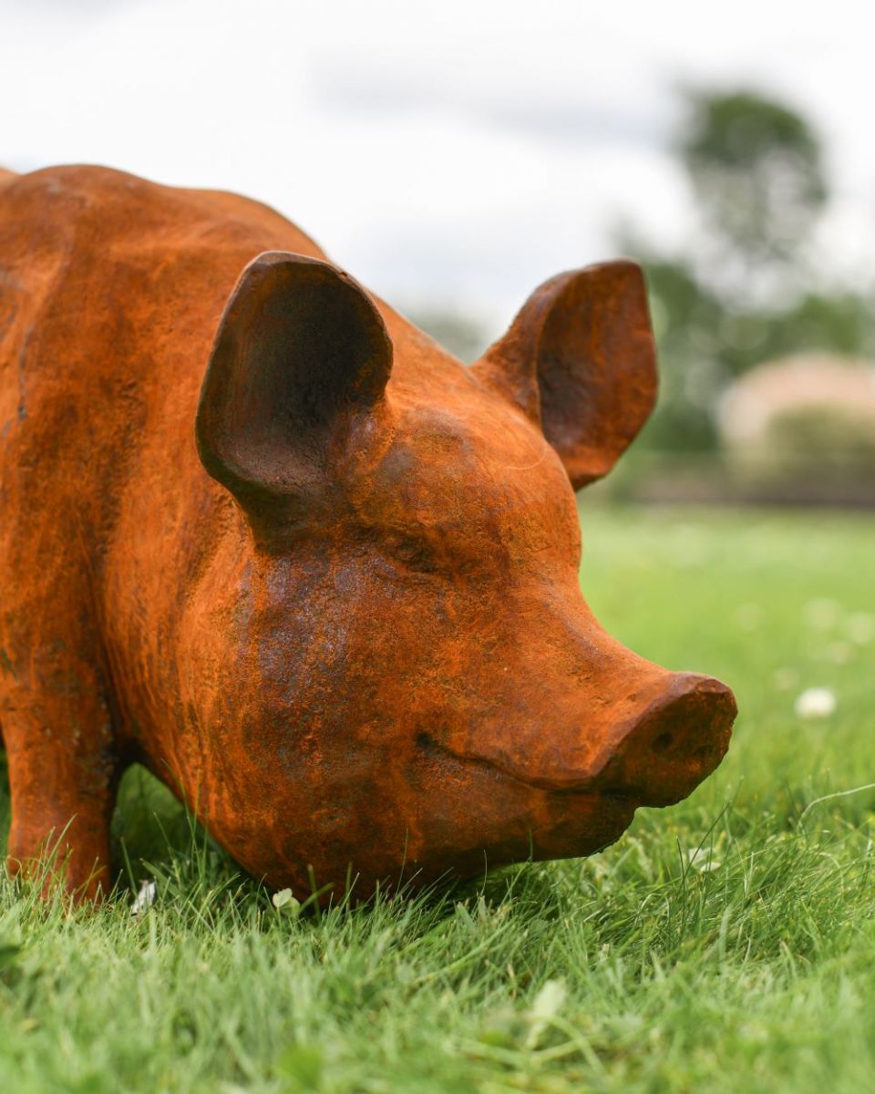Close up of Rustic Pig Cast Iron Sculpture ear