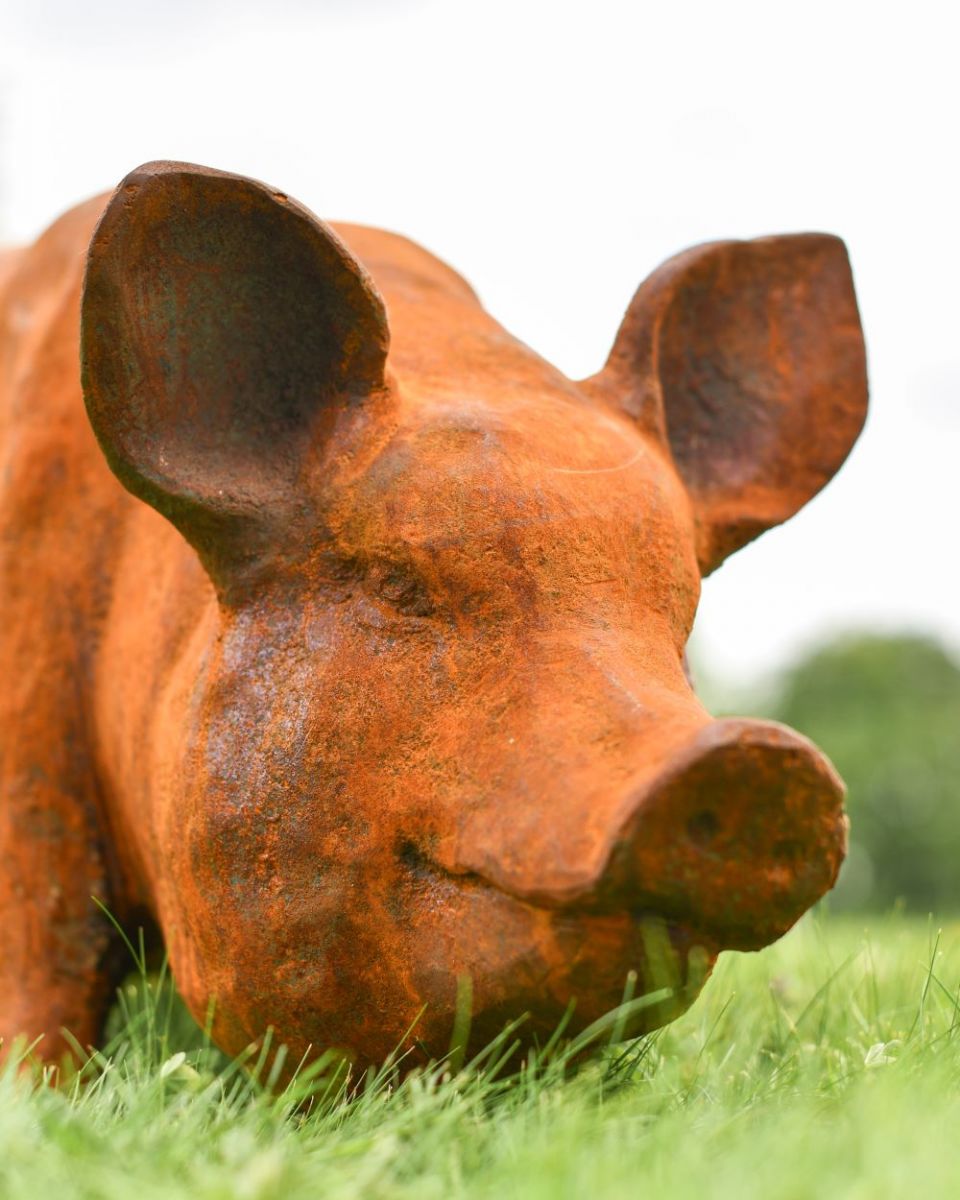 Close up of Rustic Pig Cast Iron Sculpture head