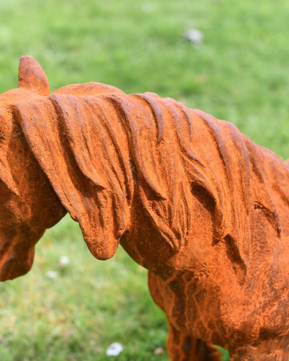 Close up of Miniature Pony Facing Right Rustic Cast Iron Sculpture neck Close up of Miniature Pony Facing Right Rustic Cast Iron Sculpture neck