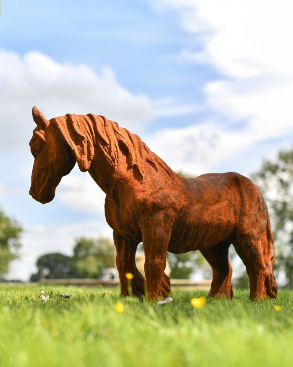 Side view of Miniature Pony Facing Right Rustic Cast Iron Sculpture Side view of Miniature Pony Facing Right Rustic Cast Iron Sculpture