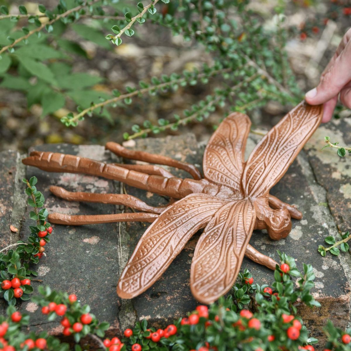 Scale Shot of Rustic "Prehistoric" Dragonfly Garden Sculpture