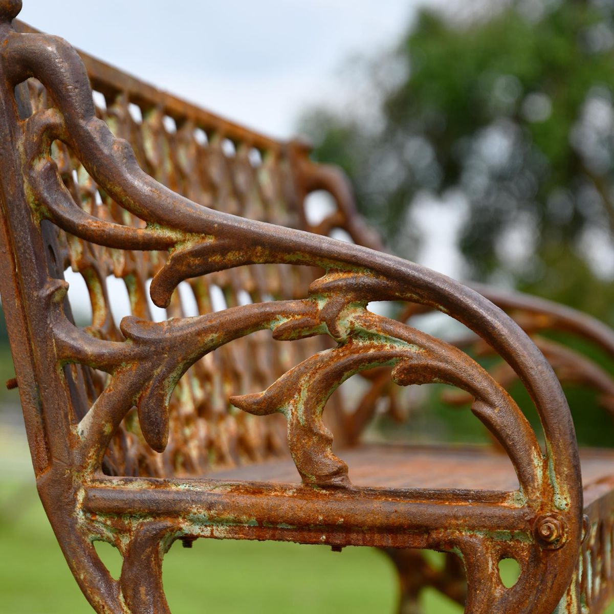 View of the Side of the Rustic "Quatrefoil" Victorian Cast Iron Two Seat Bench