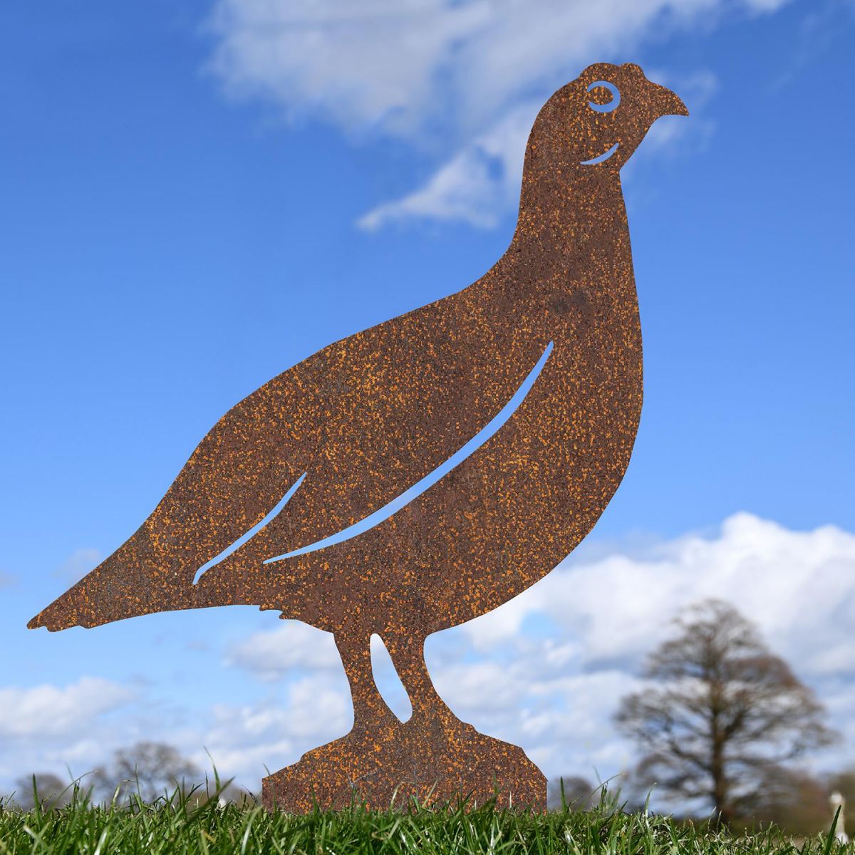 Rustic Red Grouse Silhouette in Situ